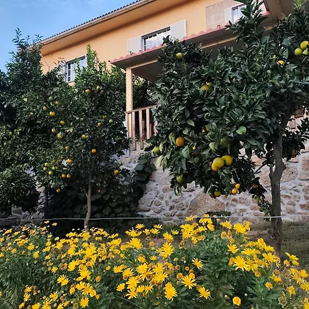 Quinta Cunha *