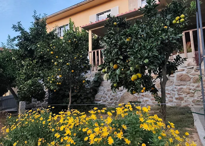 Quinta Cunha *